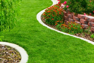Improve The Look of Your Landscaping