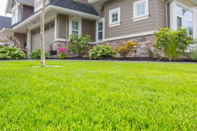 Increase Your Property Value